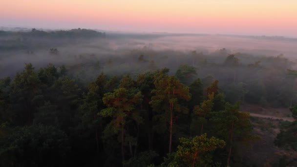 Lever Soleil Pittoresque Matin Brouillard Vue Aérienne Dans Parc National — Video