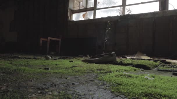 Slider Footage Rusty Typewrite Bed Moss Abandoned Old Building Dalam — Stok Video