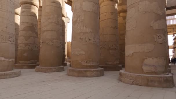 埃及卢克索Karnak寺废墟柱上雕刻的象形文字 — 图库视频影像
