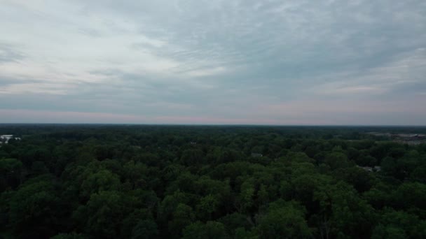 Съемки Беспилотника Лесом Огайо Ночью Облачном Небе — стоковое видео
