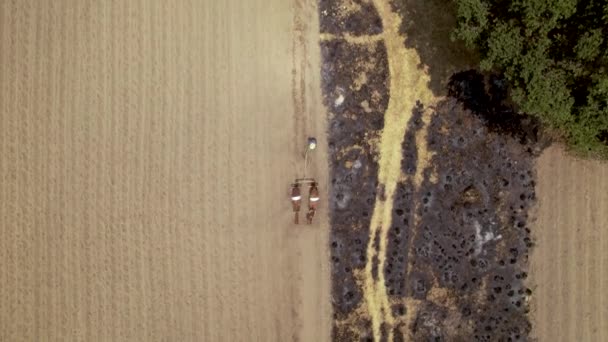 Drone Zenith Film Visar Traditionella Jordbruksmetoder Som Används Mexiko Kallas — Stockvideo