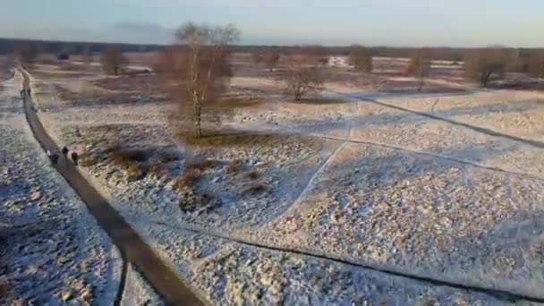 Letecká Zimní Krajina Národní Park Hoge Veluwe Nizozemí Evropa Při — Stock video