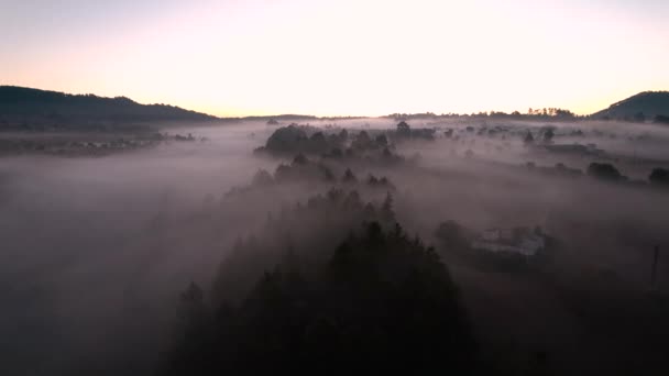 Salida Del Sol Los Campos Cultivo Bosques Cubiertos Por Niebla — Vídeo de stock