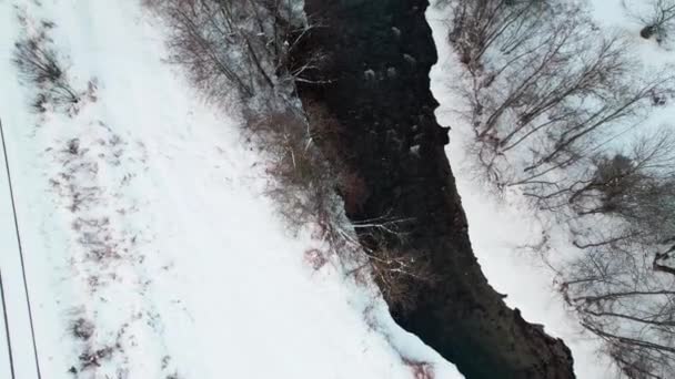 Parc National Hoge Veluwe Vue Aérienne Rivière Glacée Hiver Paysage — Video