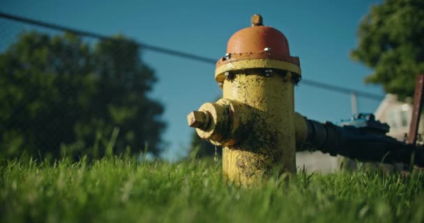 Lekker Brannhydrant Grass Closeup Vann Som Drypper Fra Leaky Pipe – stockvideo