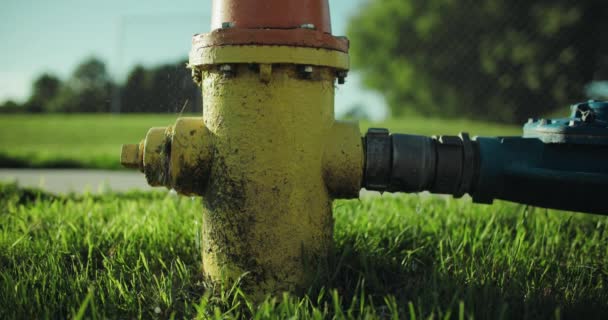 Fire Hydrant Dripping Water Leaky Pipe Leaking Industrial Pipeline Grass — Stock Video