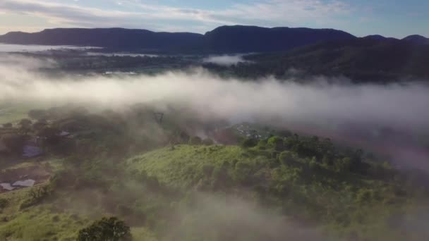 Vista Aérea Niebla Valle Mañana Soleada Queensland — Vídeo de stock