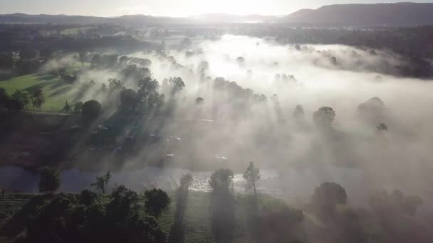 Lever Soleil Dans Queensland Rural Avec Brouillard Couvrant Les Champs — Video