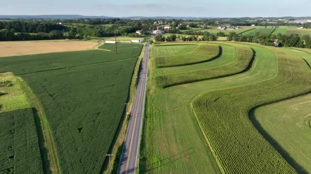 Lancaster County Pennsylvania Zemědělská Půda Plodiny Obrazce Kukuřičných Vojtěškových Polí — Stock video