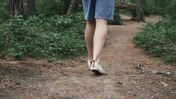 Homem Caminhando Pela Floresta Câmera Lenta — Vídeo de Stock