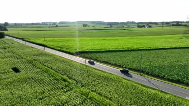 Terres Agricoles Américaines Terres Cultivées Maïs Vert Luzerne Agriculture Rurale — Video