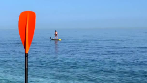 在西班牙的一个阳光灿烂的日子 女孩们在马贝拉马拉加的海里冲浪 站起来登上水坑 参加有趣的度假活动 参加冒险的水上运动 拍4K张照片 — 图库视频影像