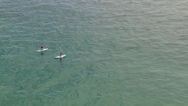 Paddleboarders Pagayant Sur Océan Ouvert Par Une Journée Ensoleillée Vue — Video