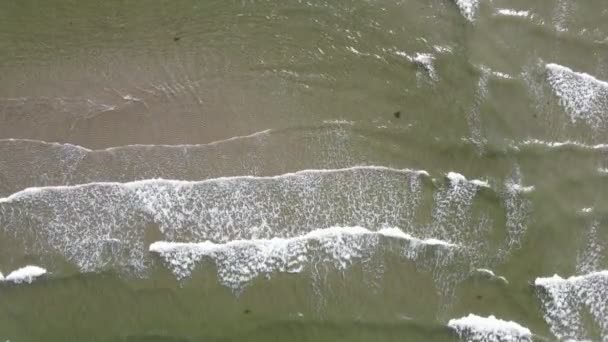 Foamy Waves North Pacific Ocean Crashing Ashore British Columbia Sunshine — Stock Video