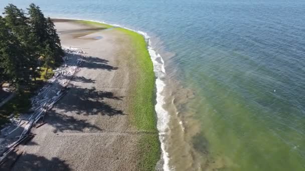 Fale Przypływu Uderzające Skały Pokryte Glonami Plaży Bonniebroook Gibsons Kolumbii — Wideo stockowe