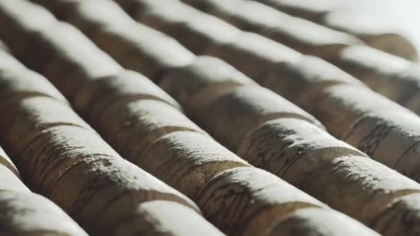 Female Hand Picking One Wine Cork Stopper Aligned Rows Cork — Stock Video