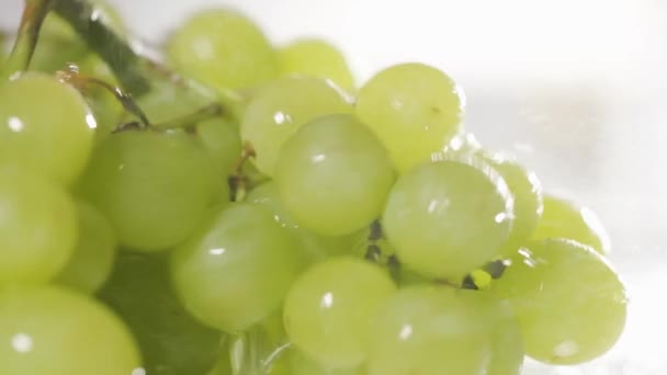 Bando Fresco Uvas Brancas Caindo Mesa Branca Close Shot Câmera — Vídeo de Stock