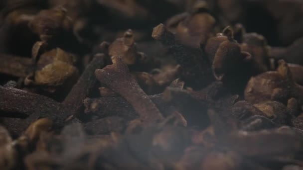 Makro Skott Kryddnejlika Faller Hög Aromatiska Kryddor Koncept Långsamma Rörelser — Stockvideo