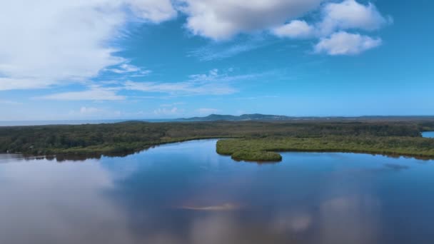 Cootharaba Gölü Mangrovları Uzak Noosa Tepeleri Avustralya Doğru Uçuş — Stok video