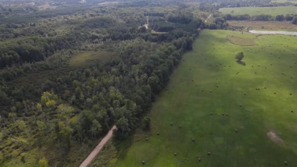Vadon Erdő Mezőgazdasági Földterület Levegőből Nyáron — Stock videók