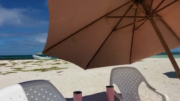 Umbrella Beach Voorzorgen Het Witte Zand Beach Lonelijk Caribbean Island — Stockvideo