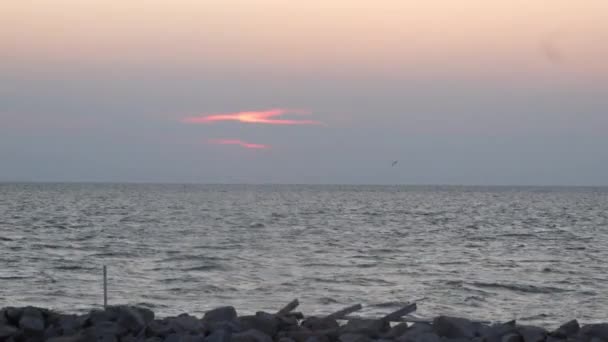 Boot Mit Einer Gruppe Von Freunden Die Den Sonnenuntergang Vor — Stockvideo