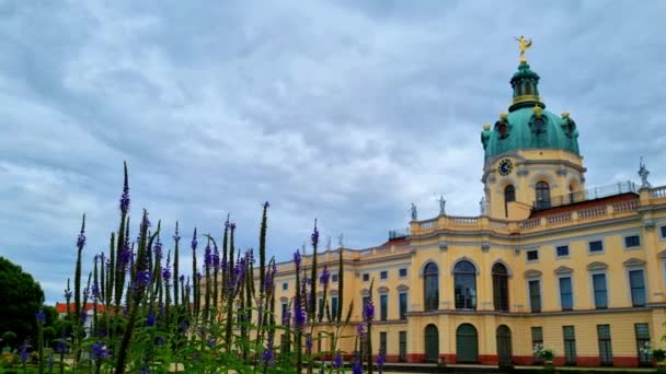 Pszczoły Latające Kwiatach Ogrodach Pałacu Charlottenburg Berlinie Niemcy — Wideo stockowe