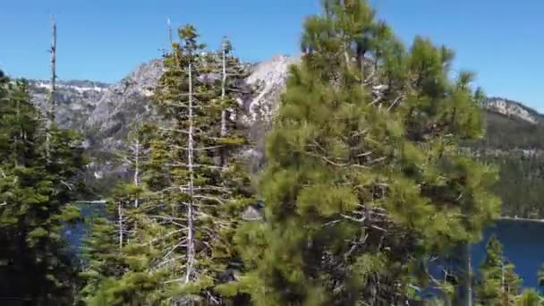 Dirigir Pelo Lago Tahoe Sierra Nevada Eua Dia Ensolarado Carro — Vídeo de Stock