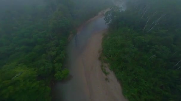 Drone Fpv Raro Cinematico Del Fiume Misty Amazon Jungle Ecuador — Video Stock