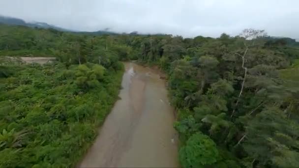 Volando Rápido Largo Línea Árboles Del Río Amazonas Ecuador Dron — Vídeos de Stock