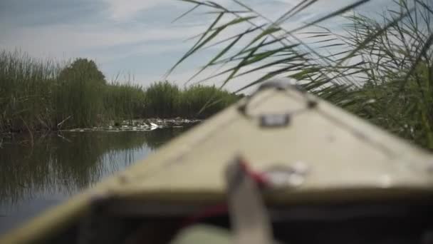 Canoa Empurrando Thru Reed Nos Países Baixos — Vídeo de Stock