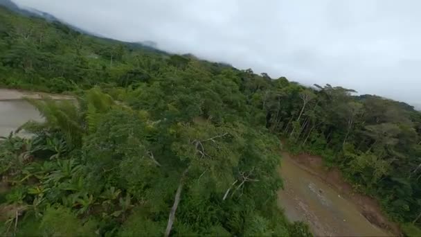 Okrążenie Drzewa Fpv Drone Poi Amazonka Rainforest River Dzień Zachmurzenia — Wideo stockowe