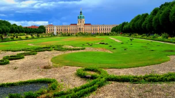 Crow Walking Green Grass Charlottenburg Palace Berlin Niemcy Pochmurny Dzień — Wideo stockowe