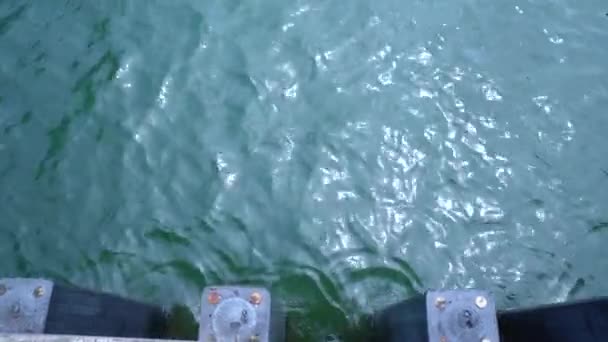 Спокойные Воды Озера Холодный Зимний День — стоковое видео