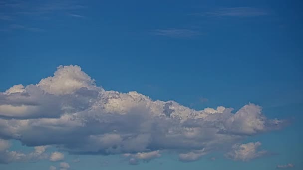 Baixo Ângulo Tiro Luz Ensolarado Dia Verão Com Nuvens Brancas — Vídeo de Stock