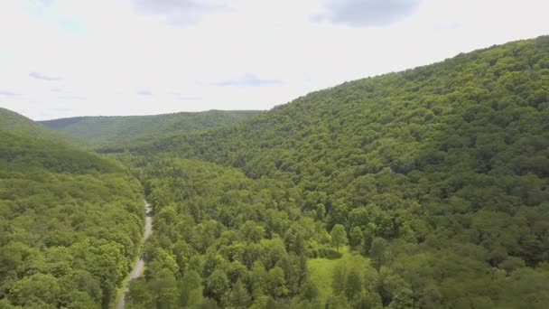 揭示宾夕法尼亚Lyman Run州立公园无人机射击事件 — 图库视频影像