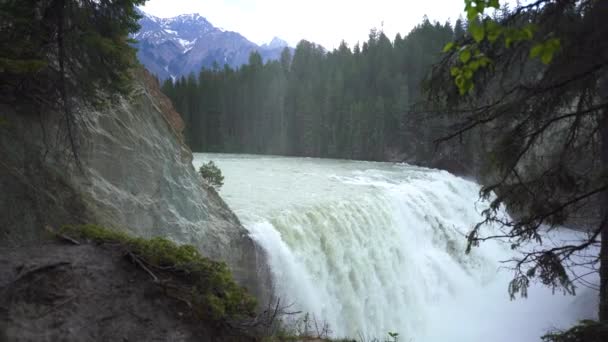 Large Waterfall Hidden Amongst Evergreens Mountains Flowing Creating Large Amounts — Stock Video