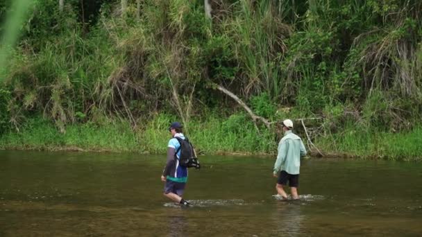 Pair Fishermen Wading Australian Creek Water Fishing Rods Slow Motion — Stock Video