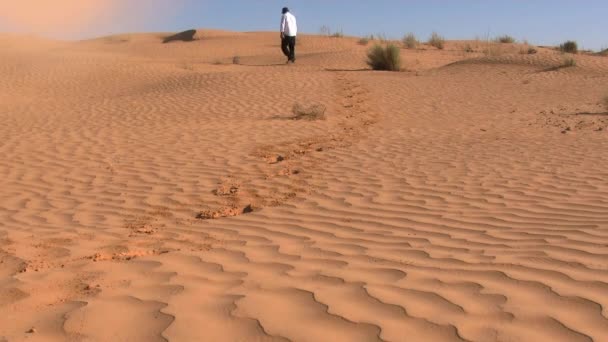 Άνθρωπος Περπατά Μέσα Από Επιδόρπιο Μια Μικρή Αμμοθύελλα Σφυρίζει Κοντά — Αρχείο Βίντεο
