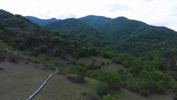 Aerial Άλογα Βοσκότοποι Μονοπάτι Taf Del Valle Calchaques Valley Tucuman — Αρχείο Βίντεο