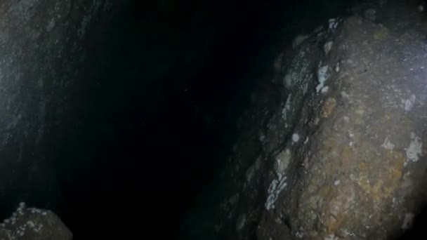 一队技术潜水人员正在深海深处探索一个水下洞穴系统 — 图库视频影像