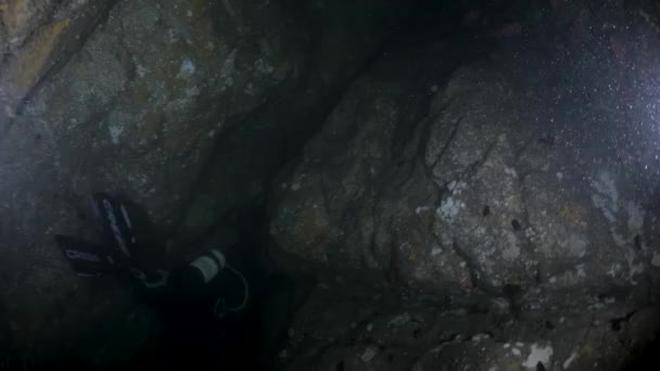 经认证的洞穴潜水者在海洋洞穴深处的一个严密的隧道系统中游泳 — 图库视频影像