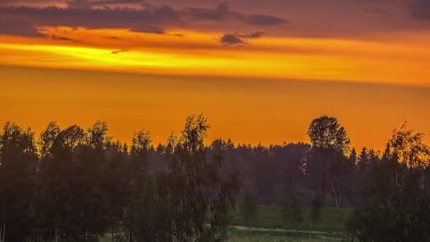 Cielo Splende Arancione Tramonto Una Foresta Silhouette Time Lapse Cloudscape — Video Stock