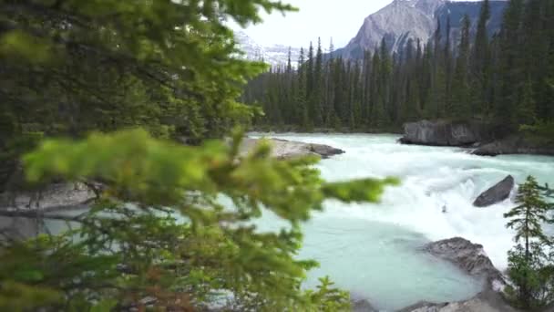 Lago Revelado Através Árvores Descendo Uma Ponte Natural Corredeiras — Vídeo de Stock