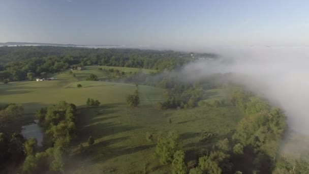 ウェストバージニア州オークヒルズの森の中で霧の空中ドローンのショットを回転させる — ストック動画