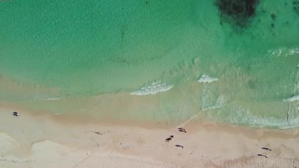 Slenteren Het Witte Zand Van Playa Del Carmen — Stockvideo
