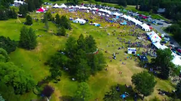 Aerial Fly Edmonton Heritage Festival Дружнє Змішання Всіх Країн Алкоголем — стокове відео