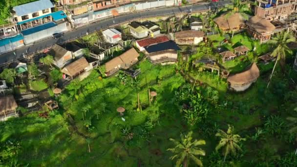 Aerial Top View Car Driving Closed Shops Tegallalang Rice Terrace — Stock Video