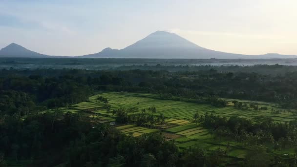 Grön Risfältsdal Ubud Bali Med Vulkaner Vid Horisonten Vid Solnedgången — Stockvideo