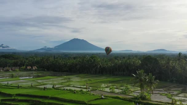 Het Luft Ballong Flyger Över Risfält Ubud Bali Med Vulkan — Stockvideo